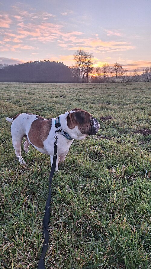 Walter angeleint auf der Wiese